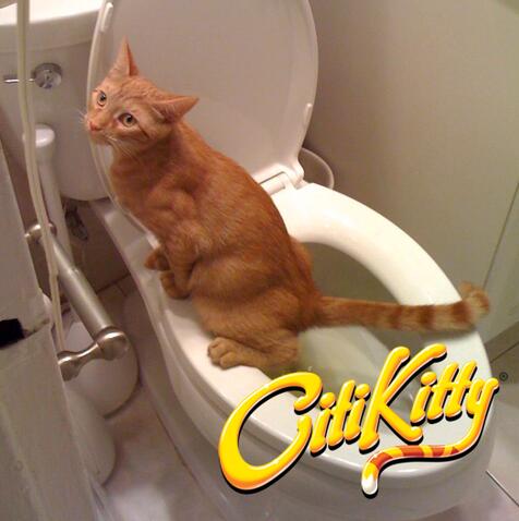 Cat Toilet Training Device - GHAVASTORE