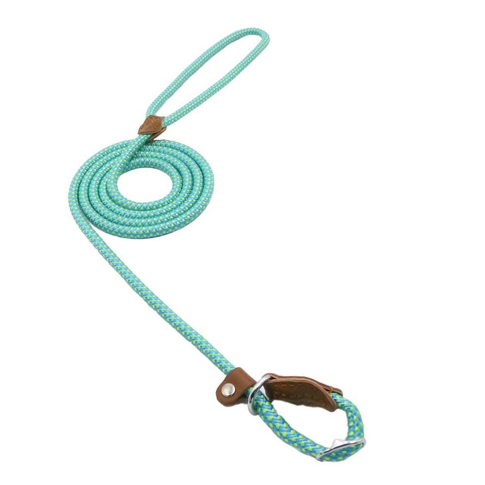 Nylon Pup Set - GHAVASTORE