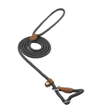 Nylon Pup Set - GHAVASTORE