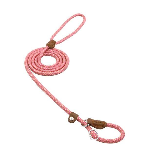 Nylon Pup Set - GHAVASTORE