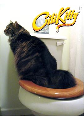 Cat Toilet Training Device - GHAVASTORE