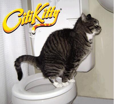 Cat Toilet Training Device - GHAVASTORE