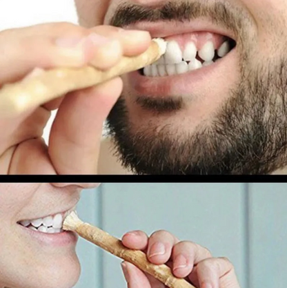 Miswak Tooth Cleaning Stick - GHAVASTORE