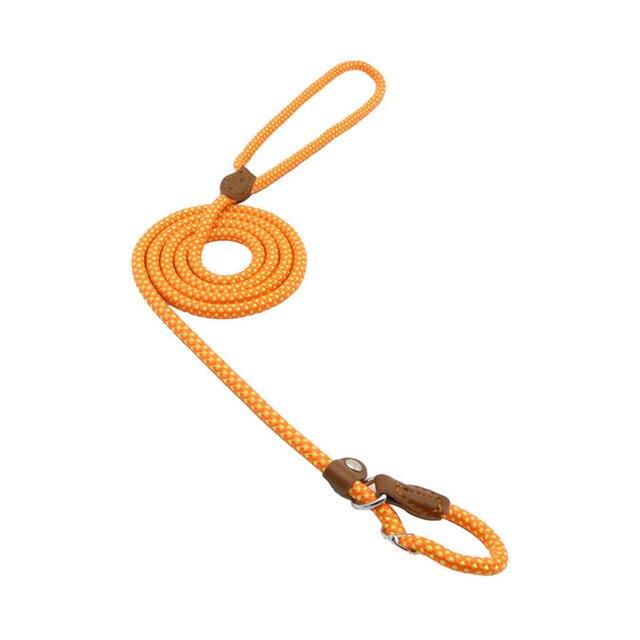Nylon Pup Set - GHAVASTORE