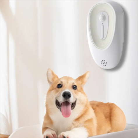 Pet Odor Eliminator for Litter Boxes - GHAVASTORE